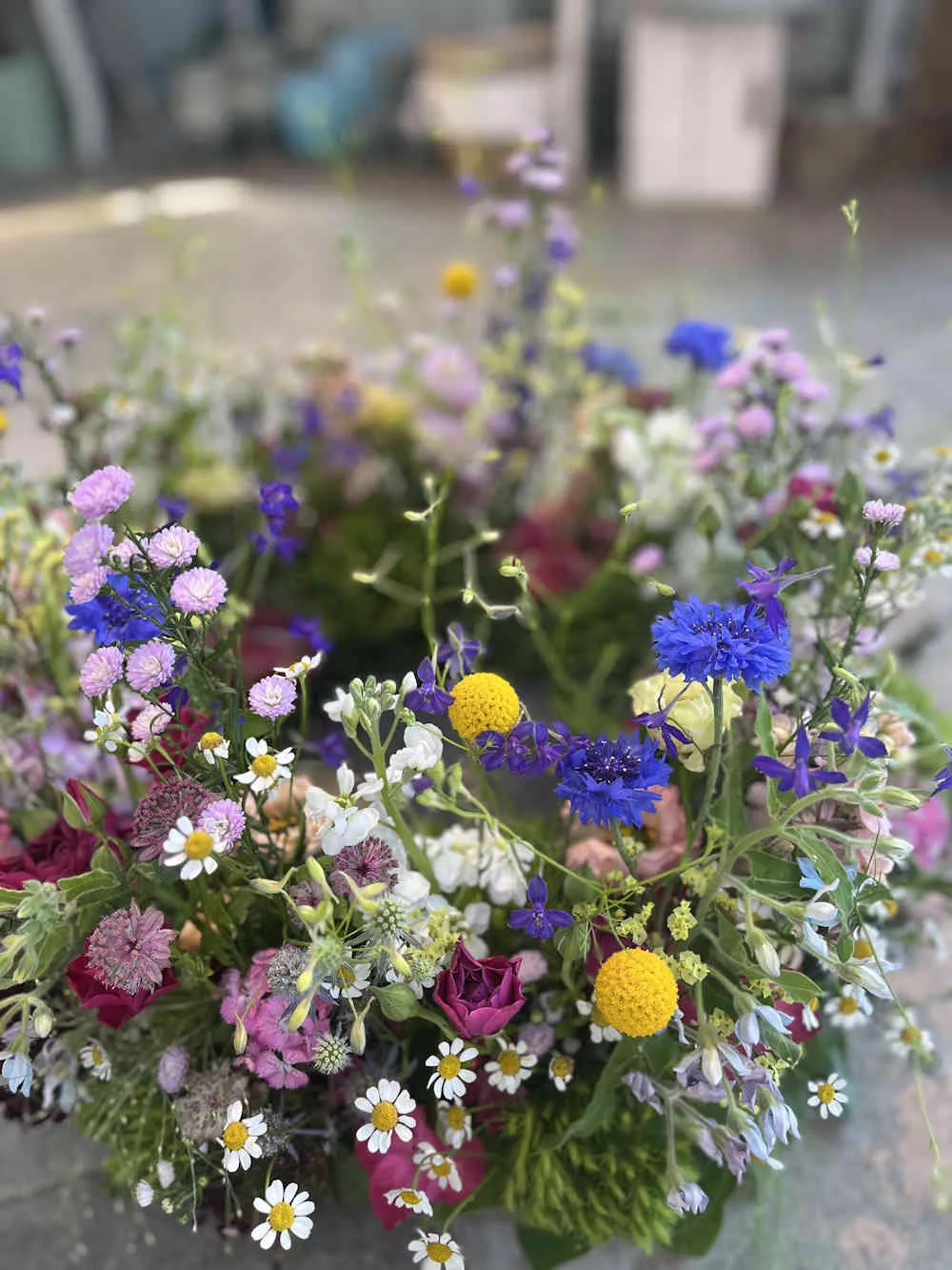 Blumen und Gärtnerei Rommel, Nonnenhorn Blumen und Gärtnerei Rommel, Nonnenhorn