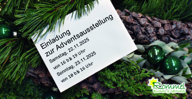 Adventausstellung, Blumen Rommel in Nonnenhorn Adventausstellung, Blumen Rommel in Nonnenhorn
